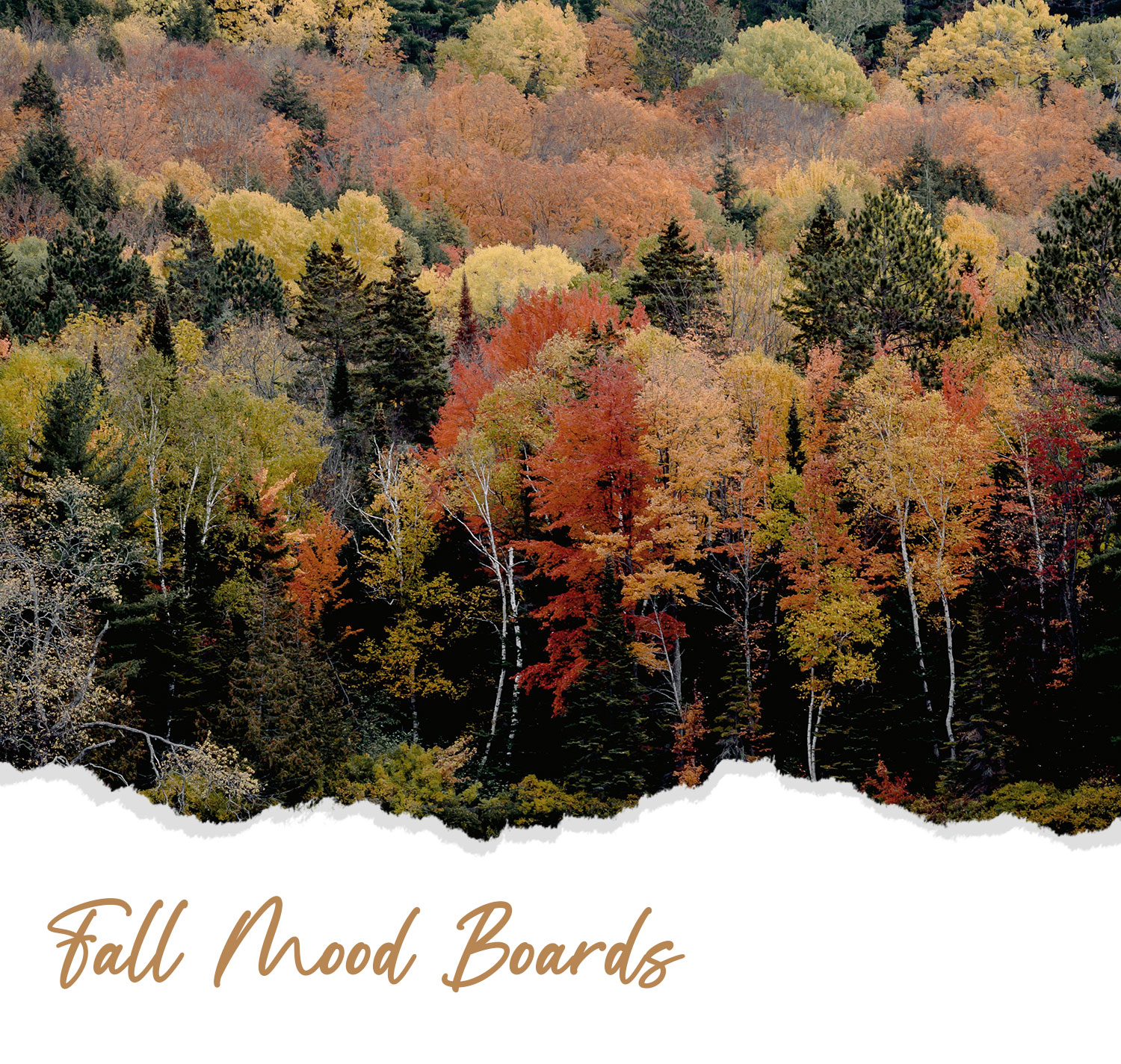 Mood board: Autumnal craft — Wearologie