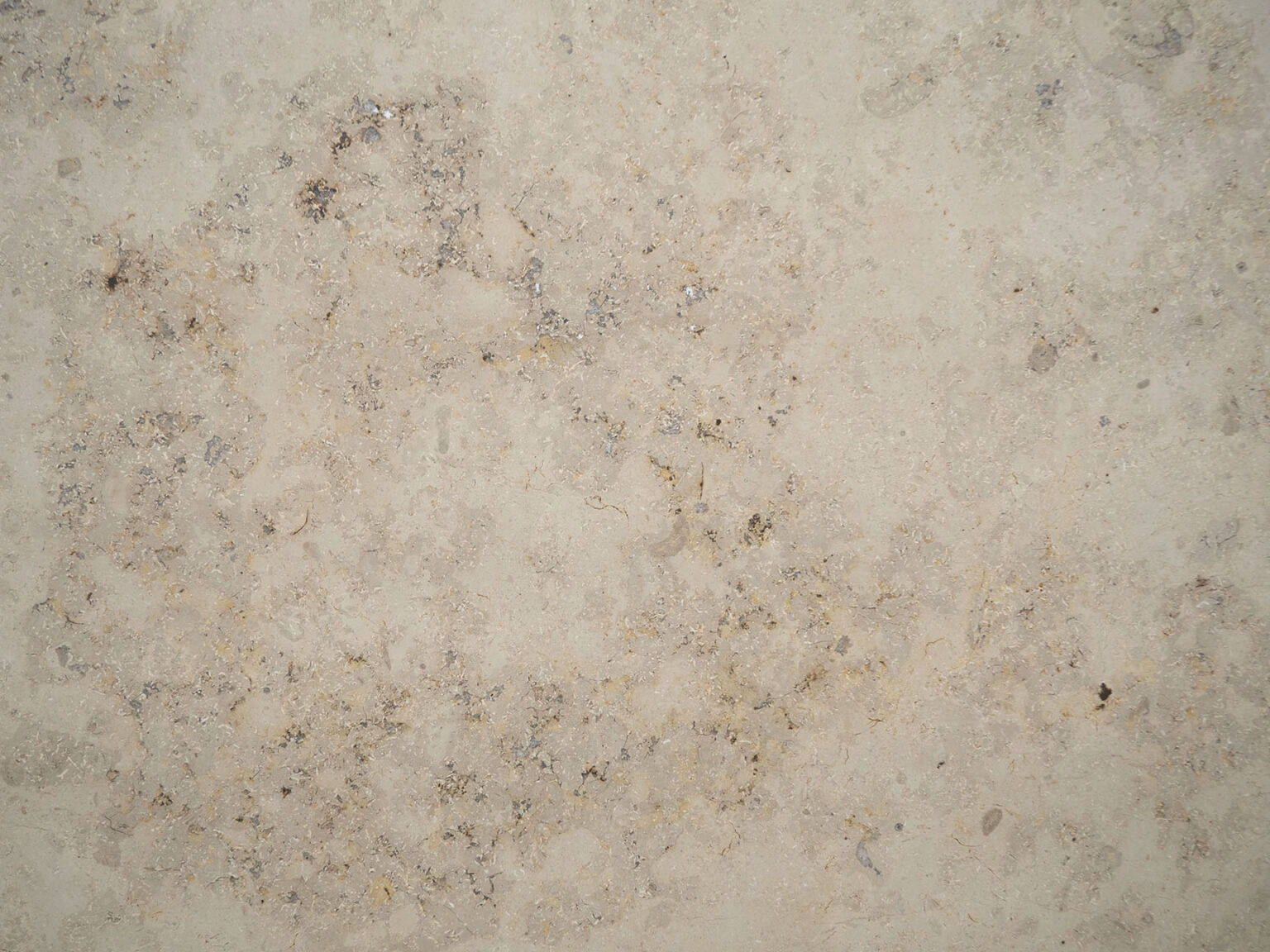 Renaissance Beige Honed - ABC Stone : ABC Stone
